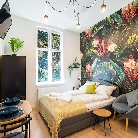 Homely, Little Studio, Location. Mala Kawalerka. *